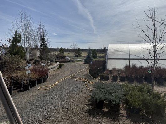 Mike Tree Farm MIKES TREE FARM AND NURSERY - Updated June 2026 - 150 NE Xenolith St ...