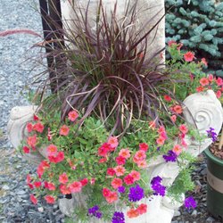 Greenspring Nursery and Stone