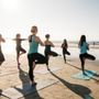 Photo of Yogatrex