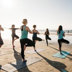 Yogatrex