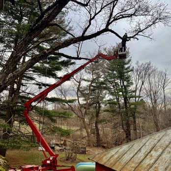 New Leaf Tree Services - Tree Services Near Me - Hudson, New York New Leaf Tree Services - Tree Services Near Me - Hudson, New York