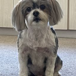 Teddy Teddy