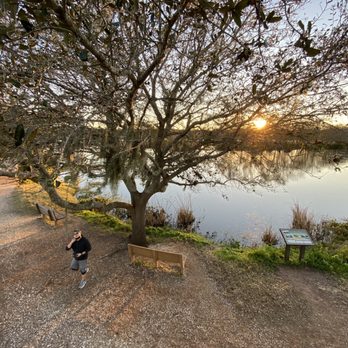 Brazos Bend State Park - Parks Near Me - Needville, Texas Brazos Bend State Park - Parks Near Me - Needville, Texas