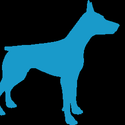 Underdog Media