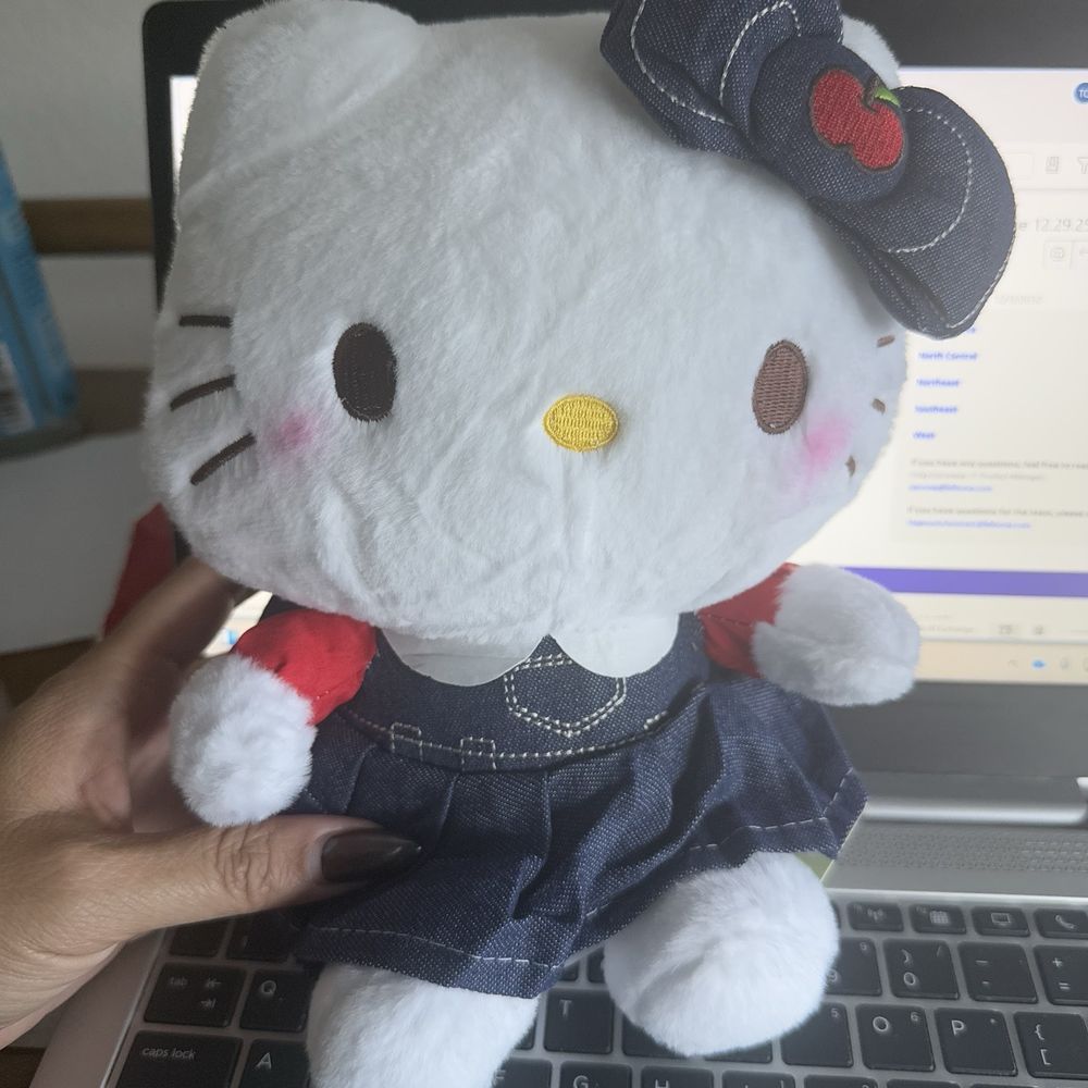 Hello Kitty win from the claw machine Hello Kitty win from the claw machine