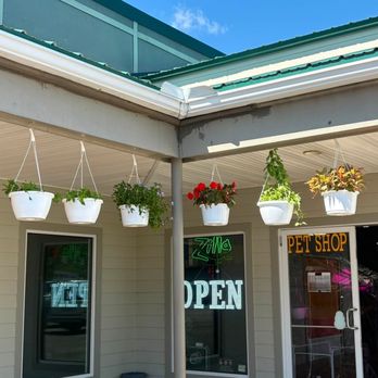Small Town Pets - Bird Shops Near Me - Warren, Pennsylvania Small Town Pets - Bird Shops Near Me - Warren, Pennsylvania