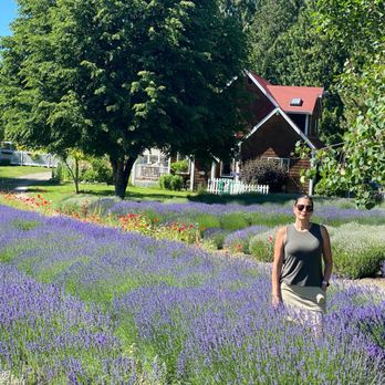 Purple Haze Lavender Farm - Flowers & Gifts Near Me - Sequim, Washington