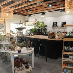 Bridge Thrift Home & Restoration