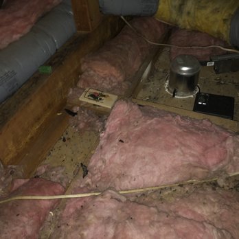 911 Attic Insulation - Nasty mess - Insulation Installation Near Me 911 Attic Insulation - Nasty mess - Insulation Installation Near Me