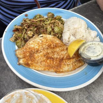 Twisted Lobster - Fish - Seafood Near Me - Cape Coral, Florida Twisted Lobster - Fish - Seafood Near Me - Cape Coral, Florida