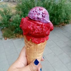 Luicella's