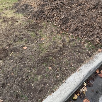 Kevin Masters Arborist Services - Tree Services Near Me - Worthington, Ohio Kevin Masters Arborist Services - Tree Services Near Me - Worthington, Ohio