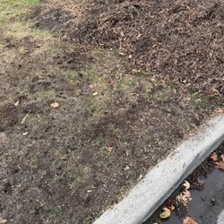 Kevin Masters Arborist Services