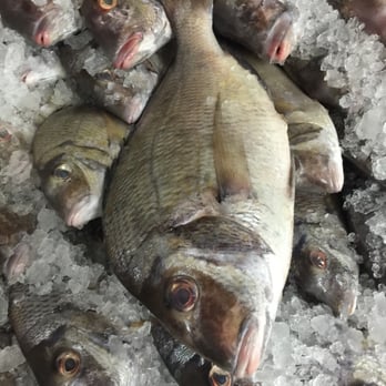 Ok Fish Market - Fresh porgy - Seafood Markets Near Me - Paterson, New Jersey Ok Fish Market - Fresh porgy - Seafood Markets Near Me - Paterson, New Jersey