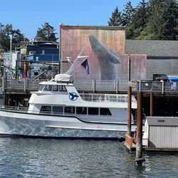 Marine Discovery Tours