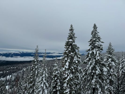Mt. Shasta Ski Park by null