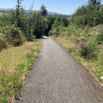 Erratic Rock State Natural Area - 250ft incline - Hiking Near Me - McMinnville, Oregon