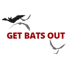 Get Bats Out Pagosa Springs - Logo