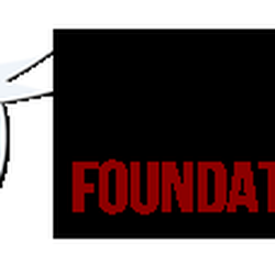 Selvin Rosa Foundation Repair