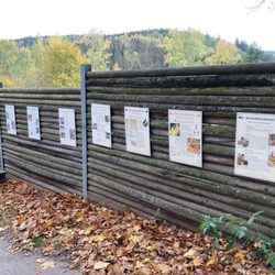 Wildpark Osterzgebirge