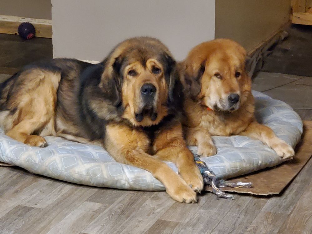 Aptive Pest Control - veterans service organization in Greenwood Village, CO