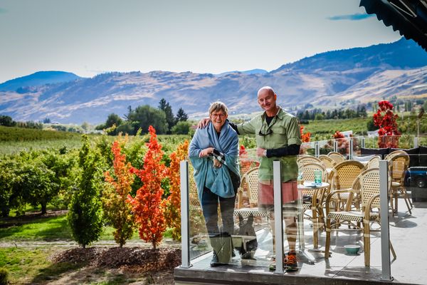 vinAmité Cellars - Winery and Wine Lounge by null