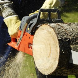 Corrective Tree Care