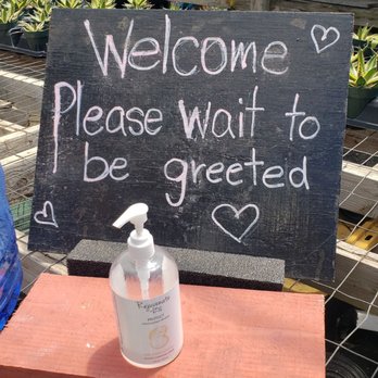 Once Again Hawaii - Hand sanitizer available right when you enter while you wait for one of the staff members to give you a small tour of the nursery! - Nurseries & Gardening Near Me - Waimanalo, Hawaii Once Again Hawaii - Hand sanitizer available right when you enter while you wait for one of the staff members to give you a small tour of the nursery! - Nurseries & Gardening Near Me - Waimanalo, Hawaii