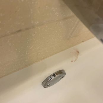Sonesta Simply Suites Clearwater St. Petersburg - Dried blood in the bathtub - Hotels Near Me - Clearwater, Florida Sonesta Simply Suites Clearwater St. Petersburg - Dried blood in the bathtub - Hotels Near Me - Clearwater, Florida