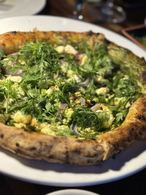 The Onion Tree by null