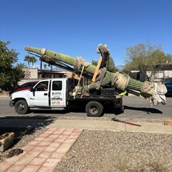 Southwest Cactus - Cactus being transported