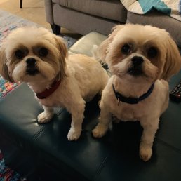 The loves of my life.