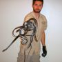 Wildlife Removal Albuquerque