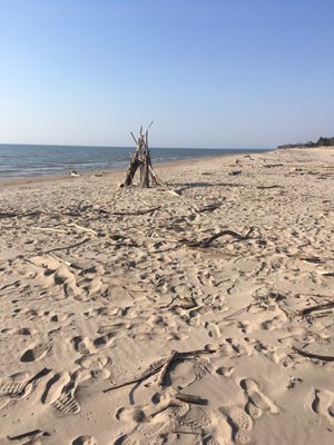 Kohler-Andrae State Park by null