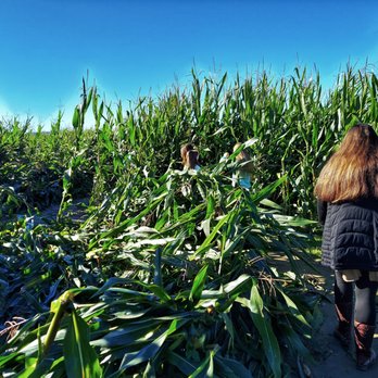 Craven Farm - Corn maze - Venues & Event Spaces Near Me - Snohomish, Washington Craven Farm - Corn maze - Venues & Event Spaces Near Me - Snohomish, Washington