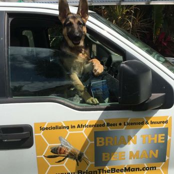 Brian Moore Bee Removal - Pest Control Near Me Brian Moore Bee Removal - Pest Control Near Me