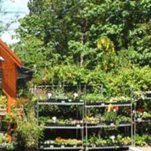 Contact Wellington Home Ideas Centre Contact Wellington Home Ideas Centre