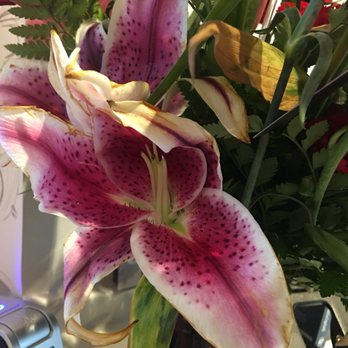 Bice's Florist - Florists Near Me - Fort Worth, Texas Bice's Florist - Florists Near Me - Fort Worth, Texas