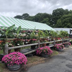 Hampton Fruit & Vegetable