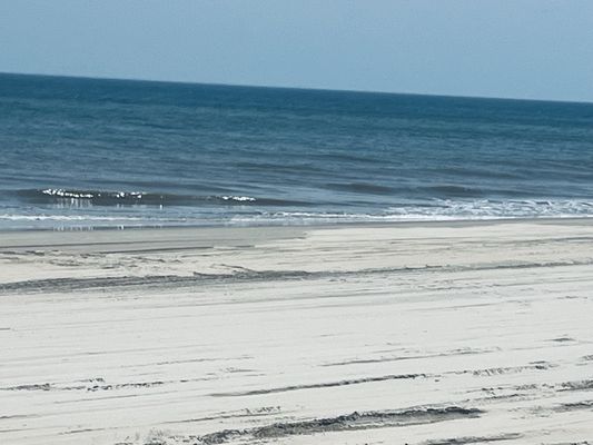 Corolla Wild Horse Tours by null