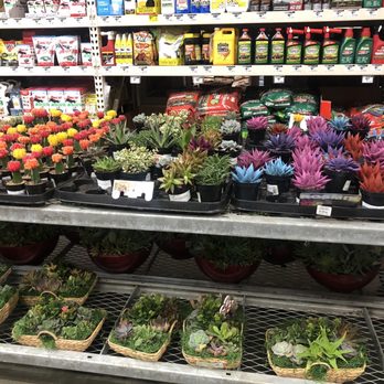 The Home Depot - Plants! - Nurseries & Gardening Near Me - Covina, California The Home Depot - Plants! - Nurseries & Gardening Near Me - Covina, California