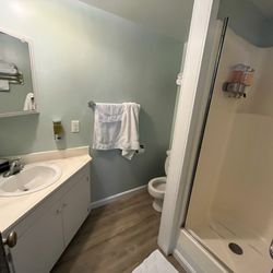 The Victorian Inn - Bathroom - shower fits one average adult only