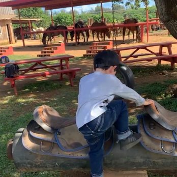 Gunstock Ranch - Practicing getting on his horse saddle - Horseback Riding Near Me - Laie, Hawaii Gunstock Ranch - Practicing getting on his horse saddle - Horseback Riding Near Me - Laie, Hawaii