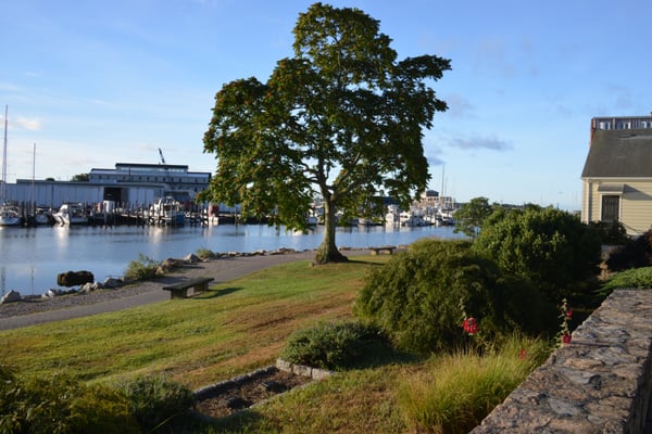 Mystic Museum of Art by null