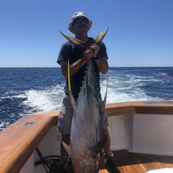 Dick's Bait & Tackle