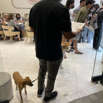 Mango Mango Dessert - Doggy central! lol there were like 5 dogs, 2 with me friend and I - Juice Bars & Smoothies Near Me - Honolulu, Hawaii Mango Mango Dessert - Doggy central! lol there were like 5 dogs, 2 with me friend and I - Juice Bars & Smoothies Near Me - Honolulu, Hawaii