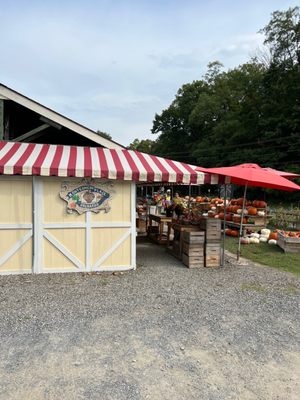 Montgomery Place Orchards by null