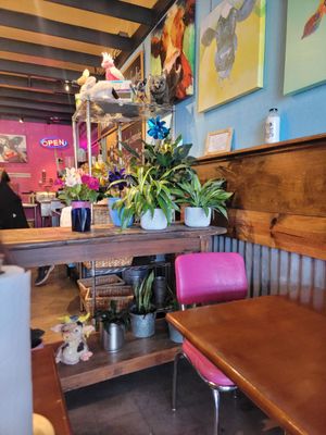 The Milk Bar by null