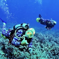 Scuba Luv Maui - COME JOIN US FOR A SCOOTER DIVE ACROSS THE REEF!
