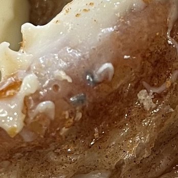 Wild Eggs - A close-up of the mold on my House-Made Cinnamon Roll. - Breakfast & Brunch Near Me - New Albany, Indiana Wild Eggs - A close-up of the mold on my House-Made Cinnamon Roll. - Breakfast & Brunch Near Me - New Albany, Indiana